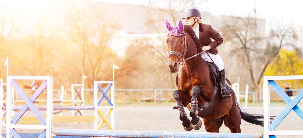 Equine law Studio Legale Maniscalco